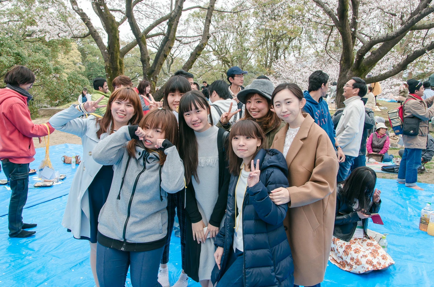 【熊本留學】到熊本城賞櫻野餐,難忘的留學生交流活動 - 第13張圖