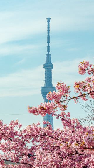 東京景點 一起到大井賽馬場 感受夜間賽馬魅力 女子旅日和